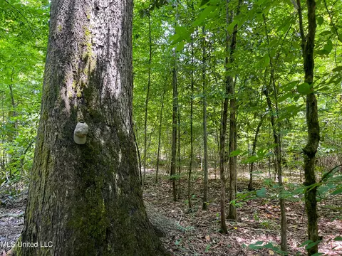 0 Star Road Rd, Brandon, MS 39042 photo 27