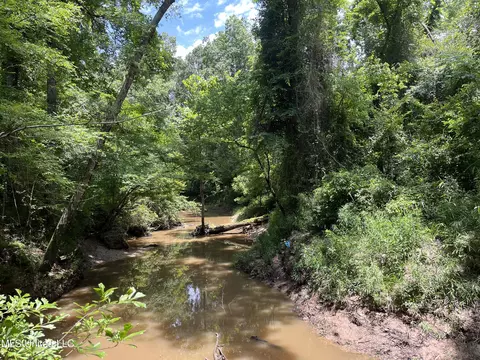 0 Star Road Rd, Brandon, MS 39042 photo 55