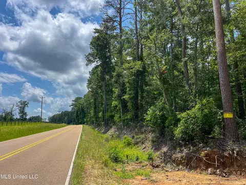 0 Star Road Rd, Brandon, MS 39042 photo 63