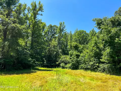 0 Star Road Rd, Brandon, MS 39042 photo 17