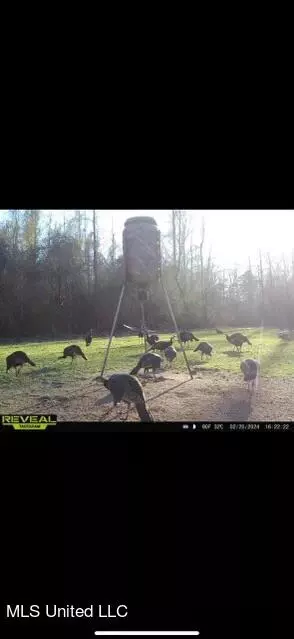 0 Star Road Rd, Brandon, MS 39042 photo 59