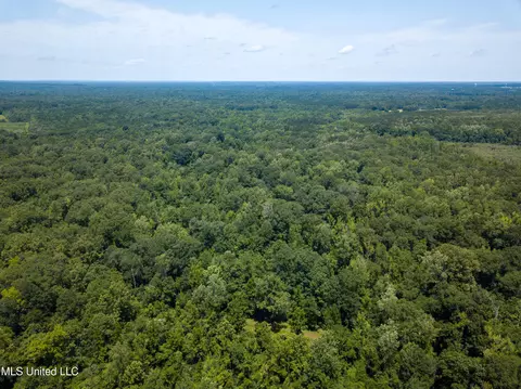 0 Star Road Rd, Brandon, MS 39042 photo 21