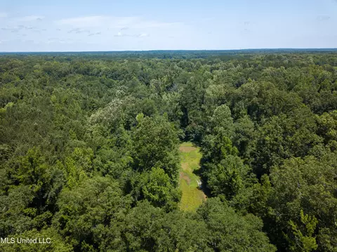 0 Star Road Rd, Brandon, MS 39042 photo 33
