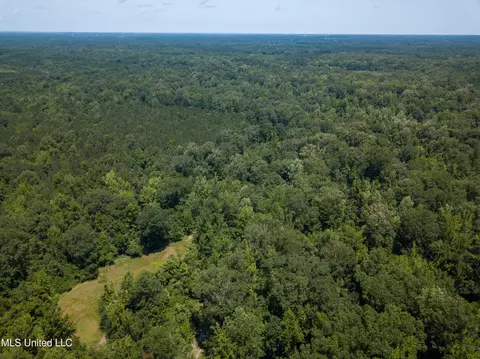 0 Star Road Rd, Brandon, MS 39042 photo 11