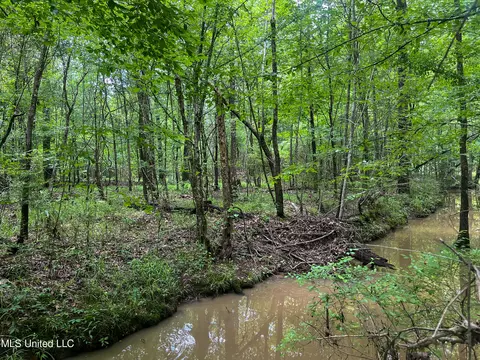 0 Star Road Rd, Brandon, MS 39042 photo 52