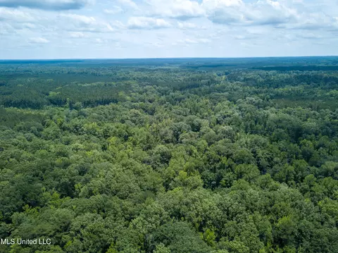 0 Star Road Rd, Brandon, MS 39042 photo 45