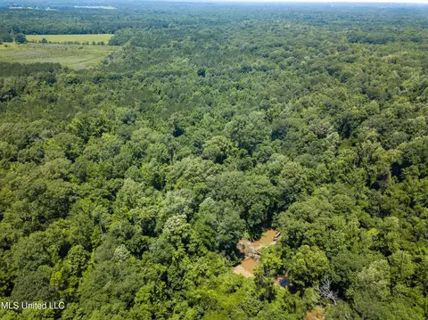 0 Star Road Rd, Brandon, MS 39042 photo 29