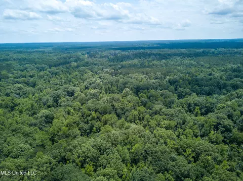 0 Star Road Rd, Brandon, MS 39042 photo 44