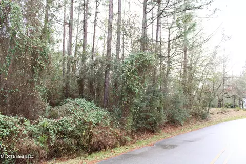 E Spring Lake Drive, Vancleave, MS 39565 photo 5