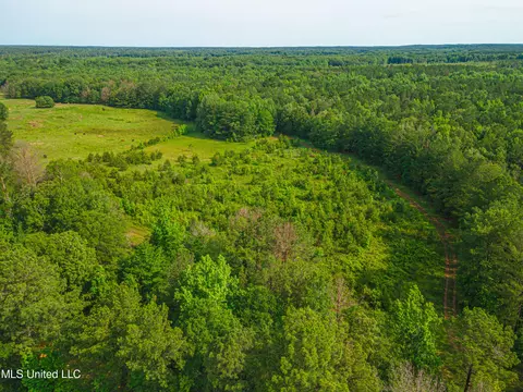 Cooper Road, Camden, MS 39045 photo 20