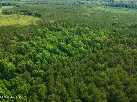 Cooper Road, Camden, MS 39045 photo 25