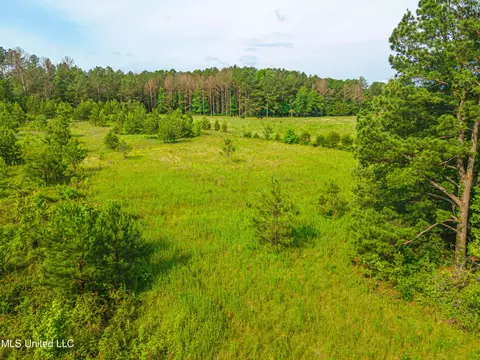 Cooper Road, Camden, MS 39045 photo 8