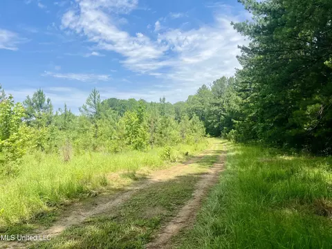 Cooper Road, Camden, MS 39045 photo 9