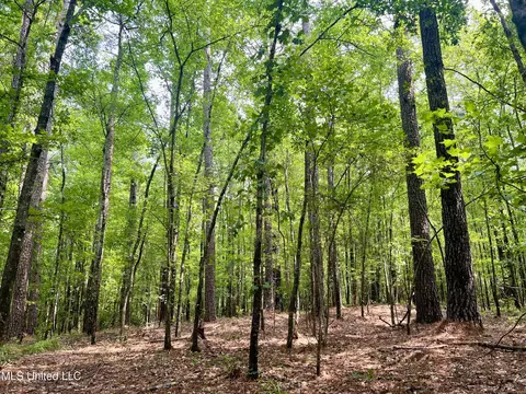 Cooper Road, Camden, MS 39045 photo 13