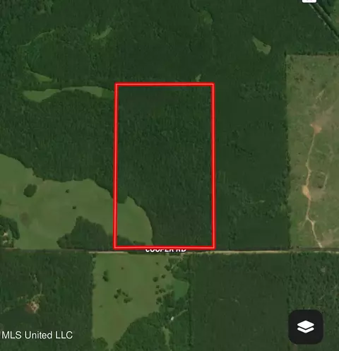 Cooper Road, Camden, MS 39045 photo 27