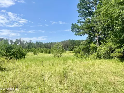 Cooper Road, Camden, MS 39045 photo 24