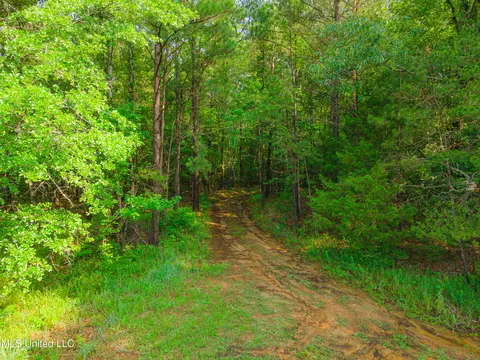 Cooper Road, Camden, MS 39045 photo 2