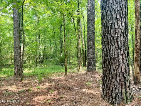 Cooper Road, Camden, MS 39045 photo 18
