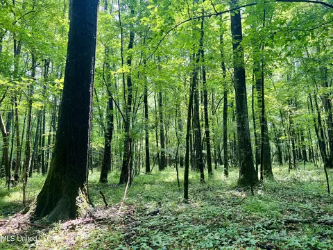 Cooper Road, Camden, MS 39045