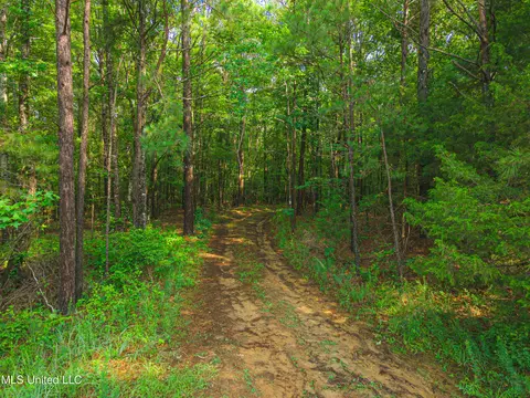 Cooper Road, Camden, MS 39045 photo 11