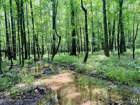 Cooper Road, Camden, MS 39045 photo 15