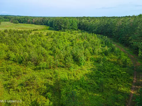 Cooper Road, Camden, MS 39045 photo 21