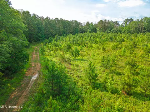 Cooper Road, Camden, MS 39045 photo 7