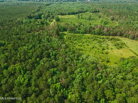 Cooper Road, Camden, MS 39045 photo 26