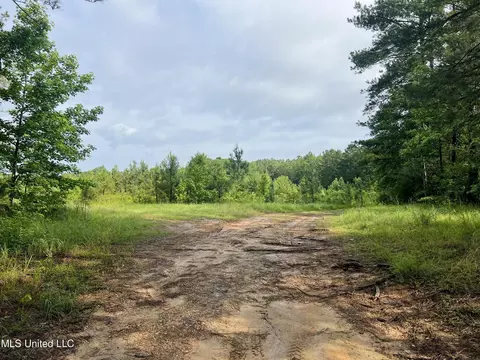 Cooper Road, Camden, MS 39045 photo 19