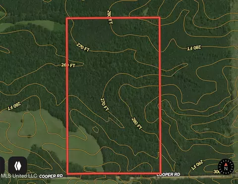 Cooper Road, Camden, MS 39045 photo 6