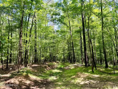 Cooper Road, Camden, MS 39045 photo 5