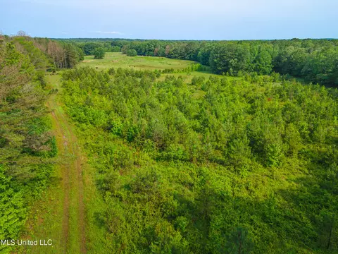 Cooper Road, Camden, MS 39045 photo 10