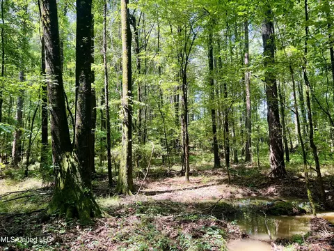 Cooper Road, Camden, MS 39045 photo 16