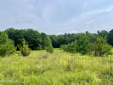 Cooper Road, Camden, MS 39045 photo 22