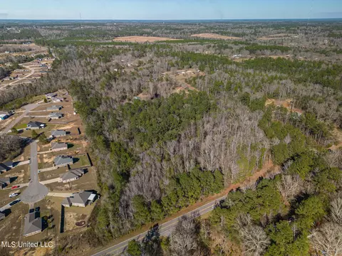 E Mchenry Road, Mchenry, MS 39561 photo 5