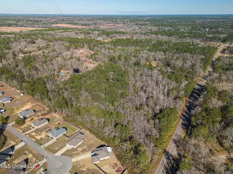 E Mchenry Road, Mchenry, MS 39561 photo 6