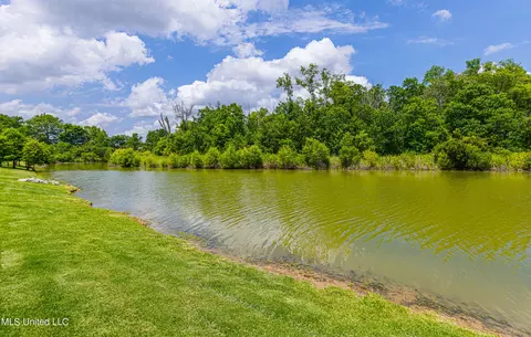 136 Colony Pl, Madison, MS 39110 photo 11