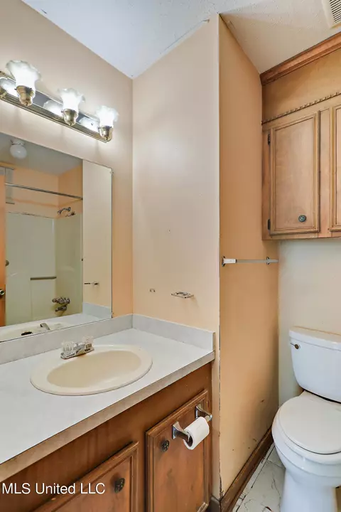 Bath - 162 Sunset St, Brandon, MS 39042 photo 2 of 2