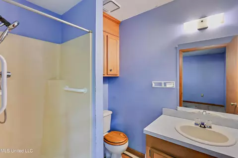 Bath - 162 Sunset St, Brandon, MS 39042 photo 1 of 2