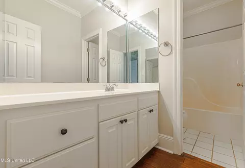 Bath - 106 Windsor Cv, Madison, MS 39110 photo 4 of 10