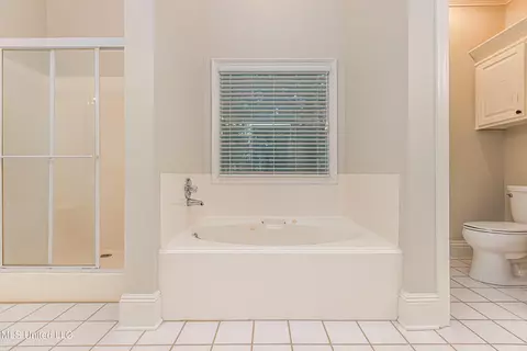 Bath - 106 Windsor Cv, Madison, MS 39110 photo 5 of 10