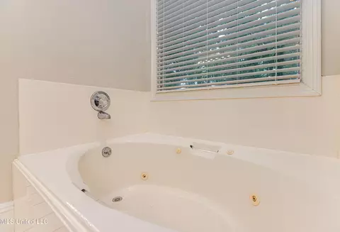 Bath - 106 Windsor Cv, Madison, MS 39110 photo 10 of 10