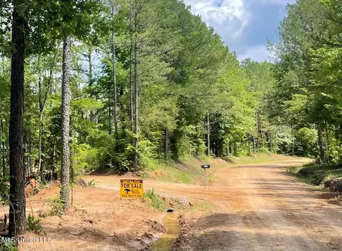 tbd Green Door Rd, Eupora, MS 39744