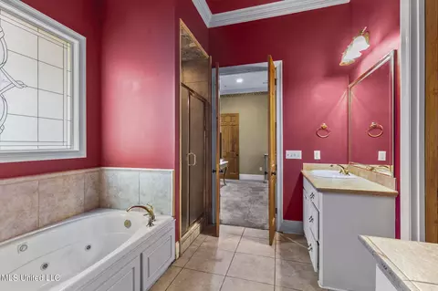 Bath - 116 Brisage Dr, Madison, MS 39110 photo 2 of 6