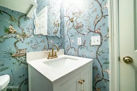 Bath - 440 Abbey Woods, Brandon, MS 39047 photo 1 of 6
