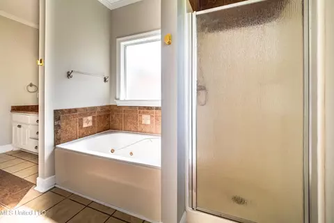 Bath - 440 Abbey Woods, Brandon, MS 39047 photo 5 of 6