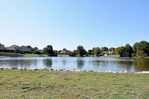 View/Area - 1289 Ridge Cv, Hernando, MS 38632 photo 2 of 2