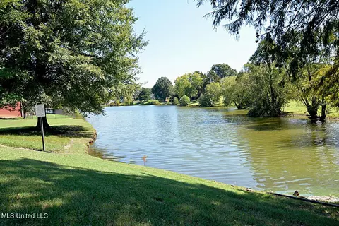View/Area - 1289 Ridge Cv, Hernando, MS 38632 photo 1 of 2
