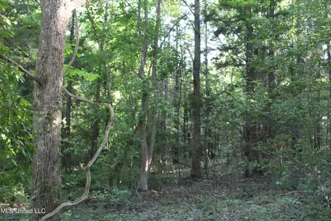 199 Betts Rd, Potts Camp, MS 38659 photo 11