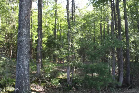 199 Betts Rd, Potts Camp, MS 38659 photo 12
